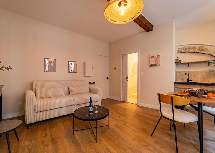 Apartamento Voute D'antan-studio Historique *